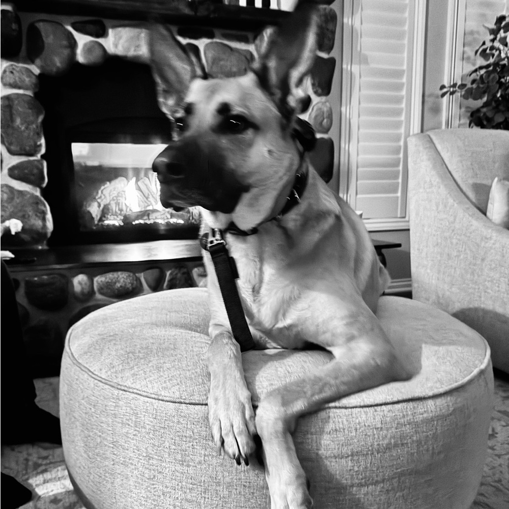 🖤🖤🖤MY HEART🖤🖤🖤